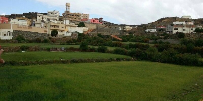 M_alkhalsi's profile banner image