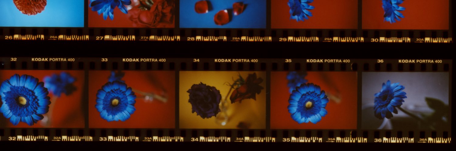 romanowada's profile banner image