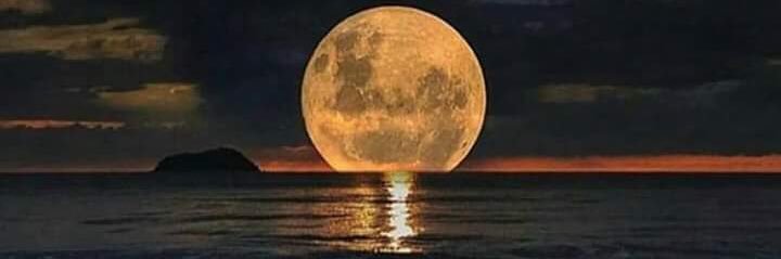 A.Y.U Rosfa M banner