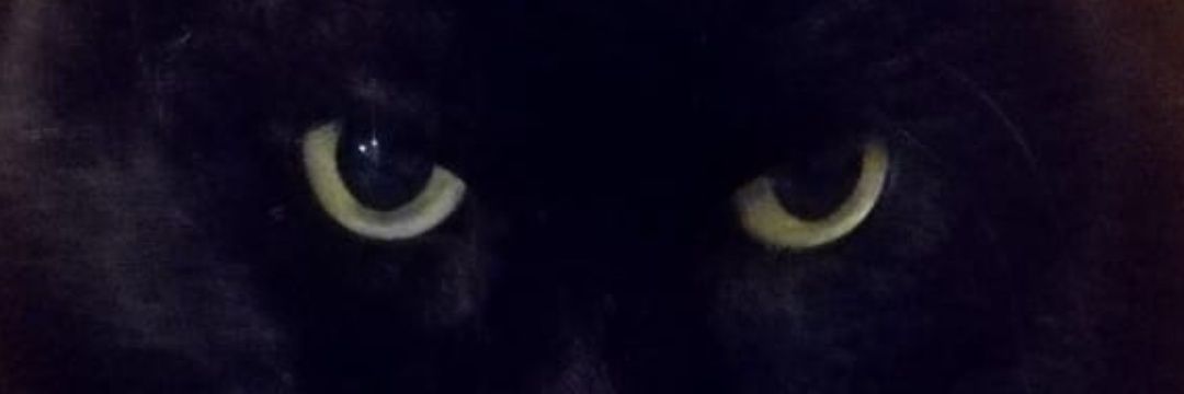 mauromenichetti's profile banner image
