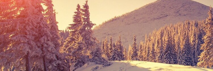 Reid_Masi's profile banner image