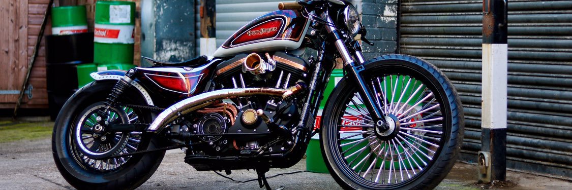 Sycamore H-D banner