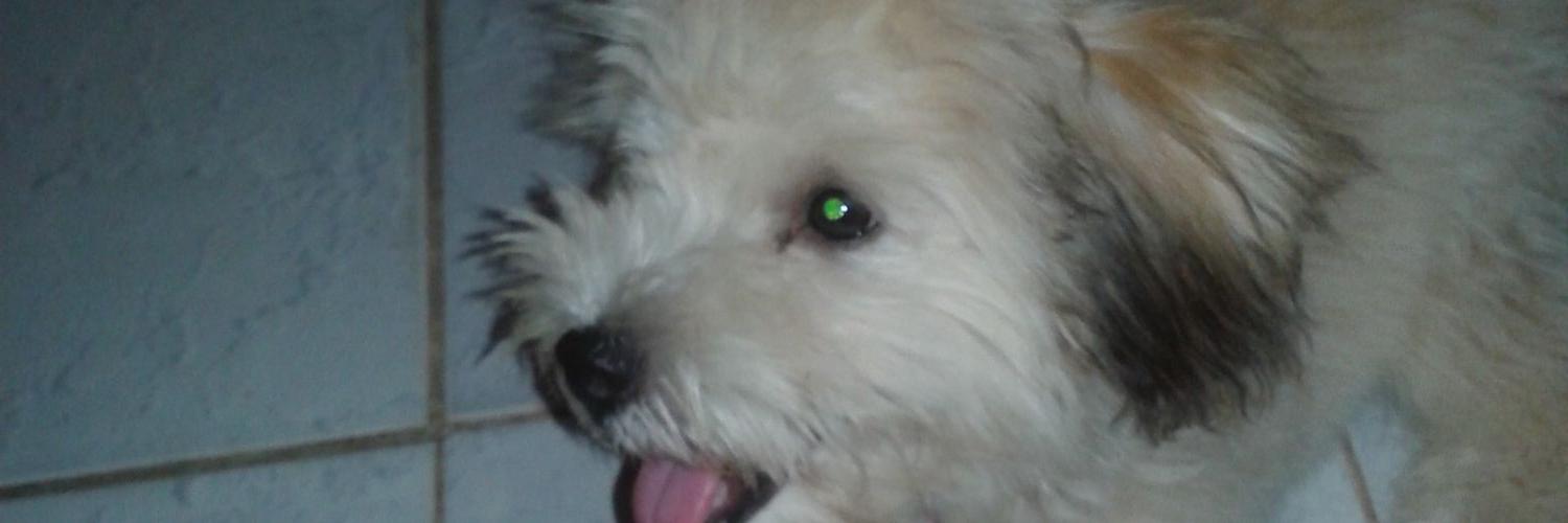 reginete2's profile banner image