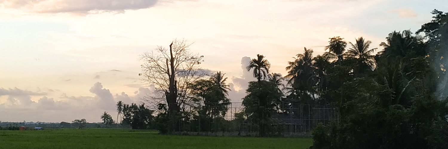 PingkomStore's profile banner image