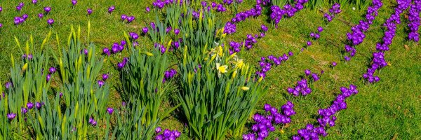 PolegateTC Profile Banner