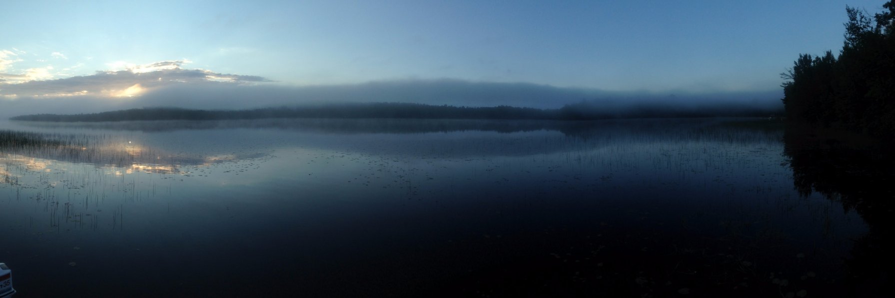 jason coleman banner