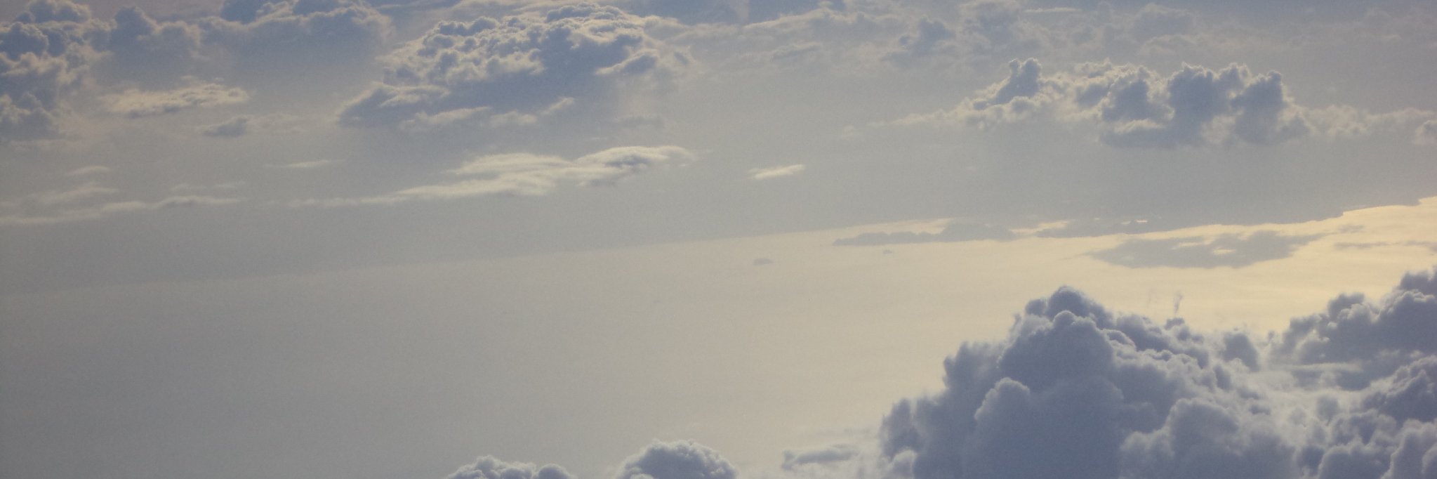 Ludmilla Sztabowicz banner