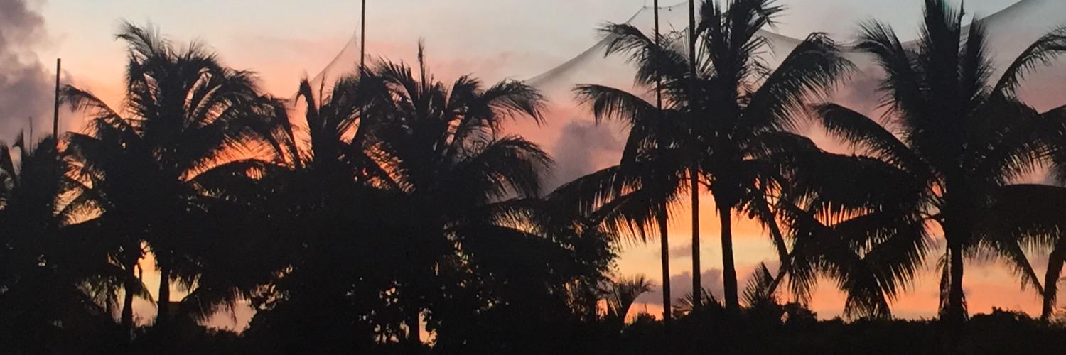 ddrshine's profile banner image