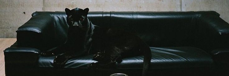 DemSkills_'s profile banner image