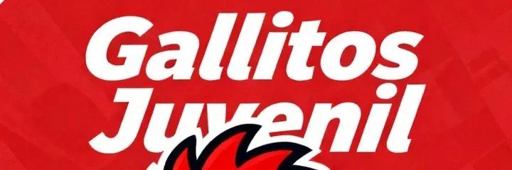 GallitosJuvenil's profile banner image