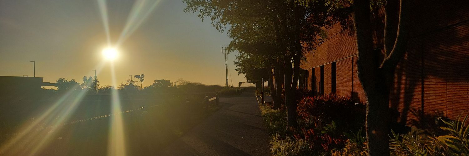 Loreenav's profile banner image