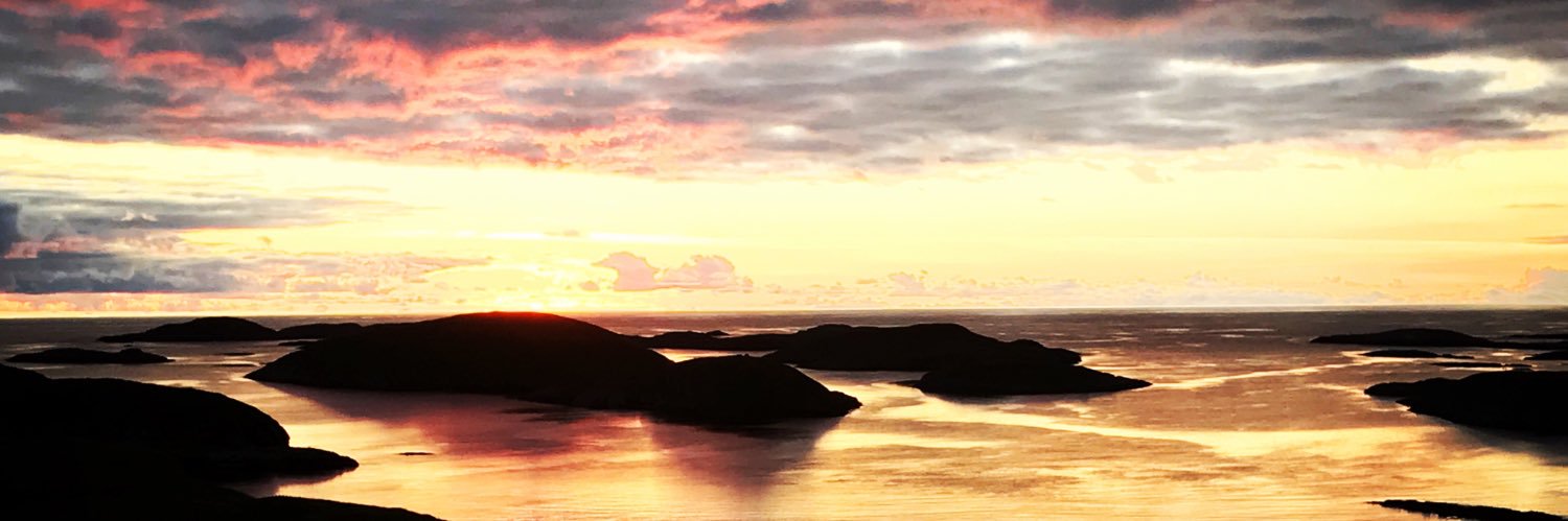 Martin Wicklin banner