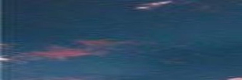 Dr. Haya Zedan 🌸🇸🇦 د. هيا زيدان banner