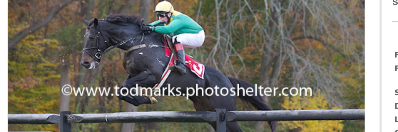 Gerard Galligan banner