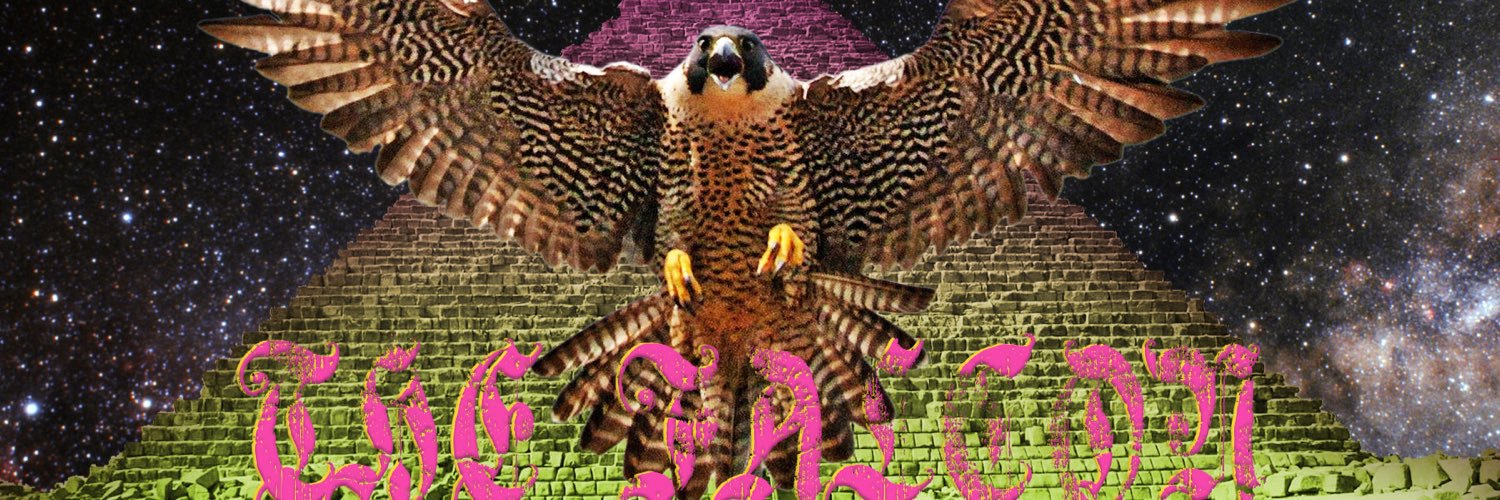 The Falcon banner