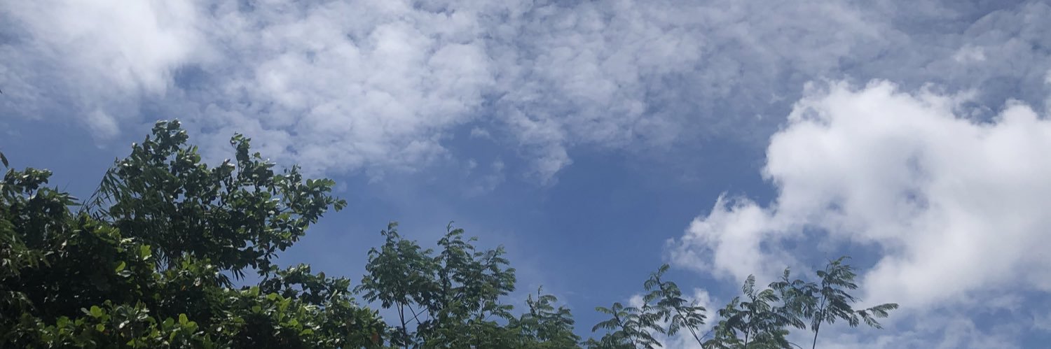 Rico Febrian banner