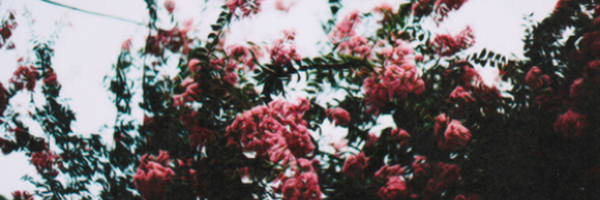 claire_wilson2 Profile Banner
