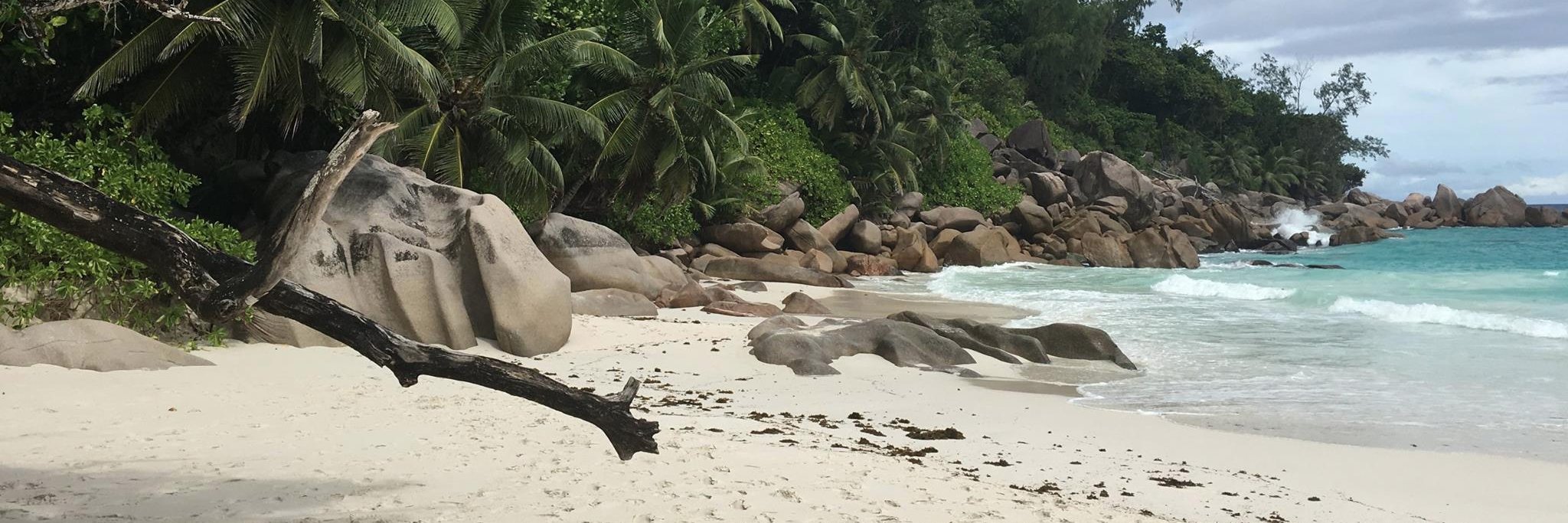 Boris Ivankovic banner