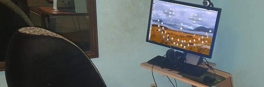 ʕ•̫͡• v banner