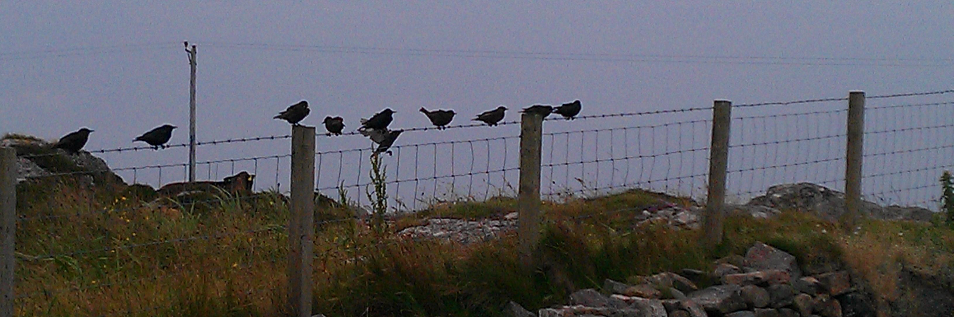 Rachel Mapson 💙 banner