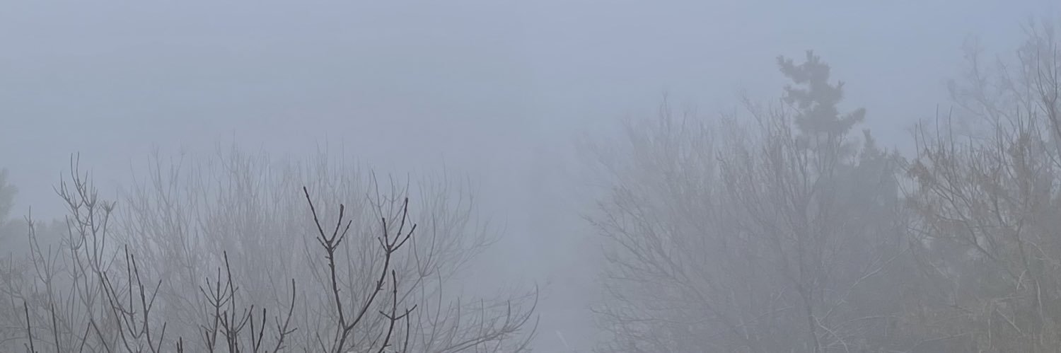 Alex__yh's profile banner image