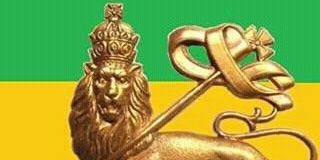 GrossoTimothy's profile banner image