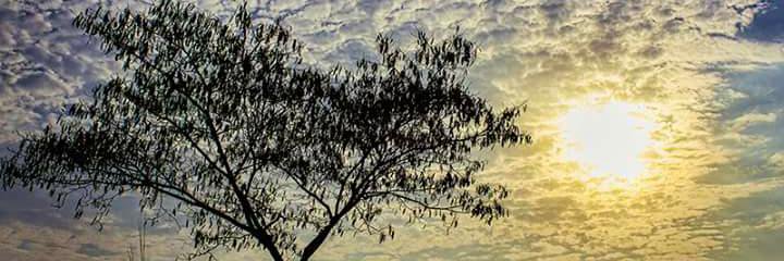 আনিকা সুবর্ণা তুলি banner