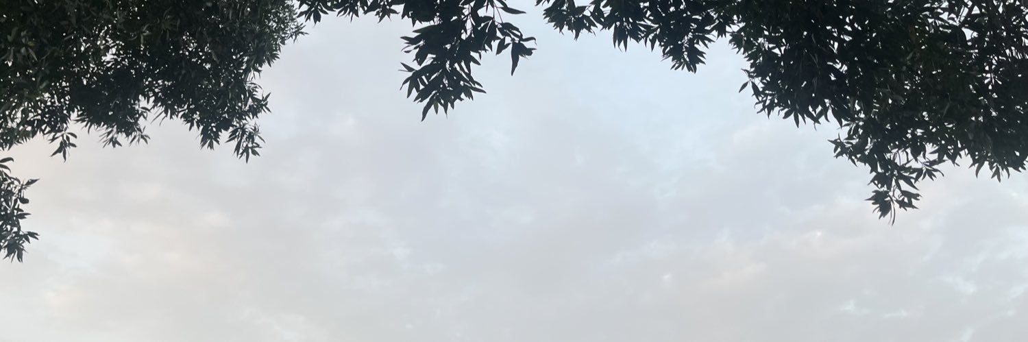 shadenrb's profile banner image