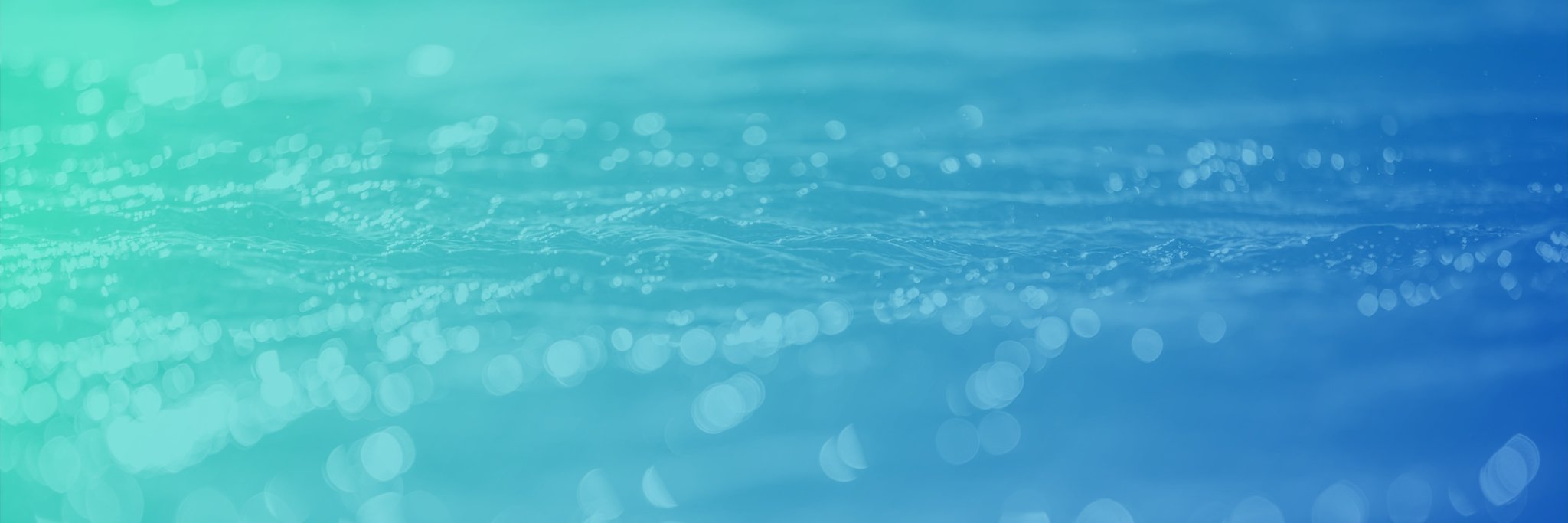 Laura Williams banner