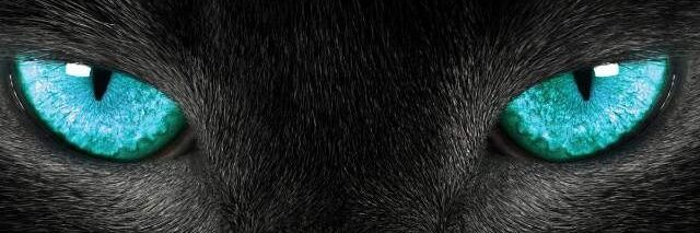 PakAgus14's profile banner image