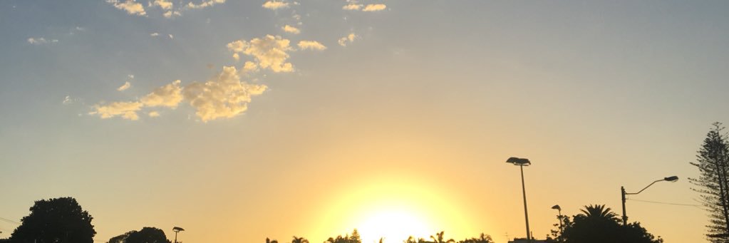 bctrichick's profile banner image