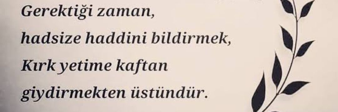mesutapaydin64's profile banner image