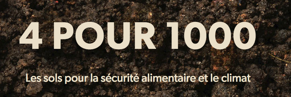 4pour1000 Profile Banner