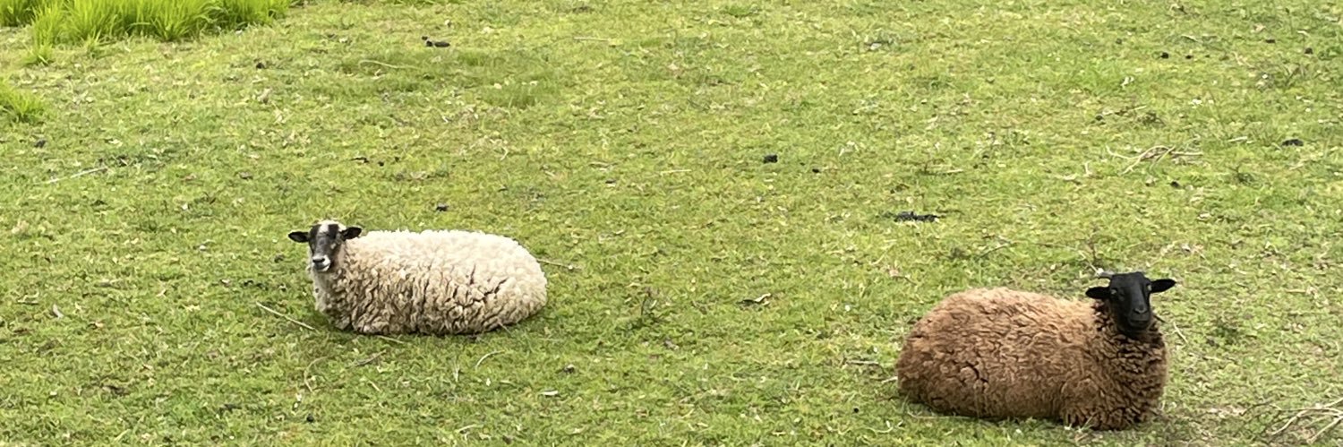 Iri Ross⚡ banner
