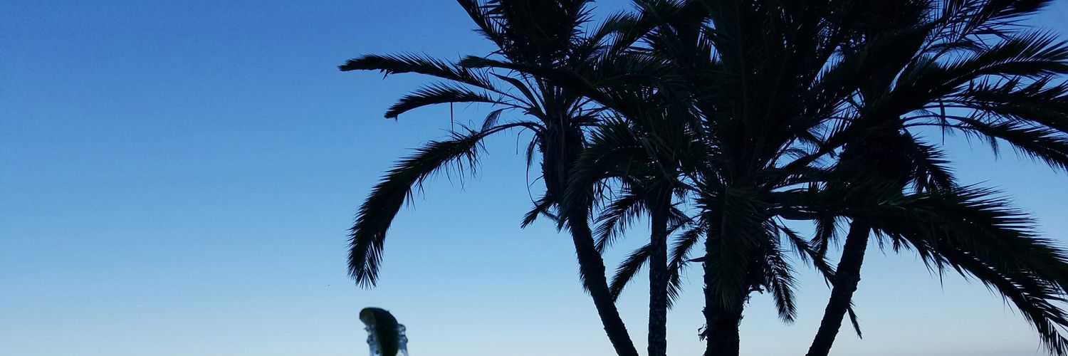 Dr. Hernando Chaves banner