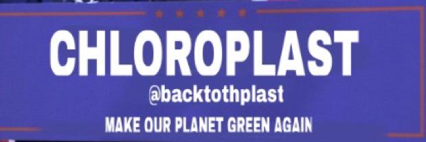 backtothplast's profile banner image
