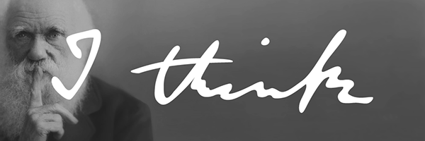 EvoCancer's profile banner image