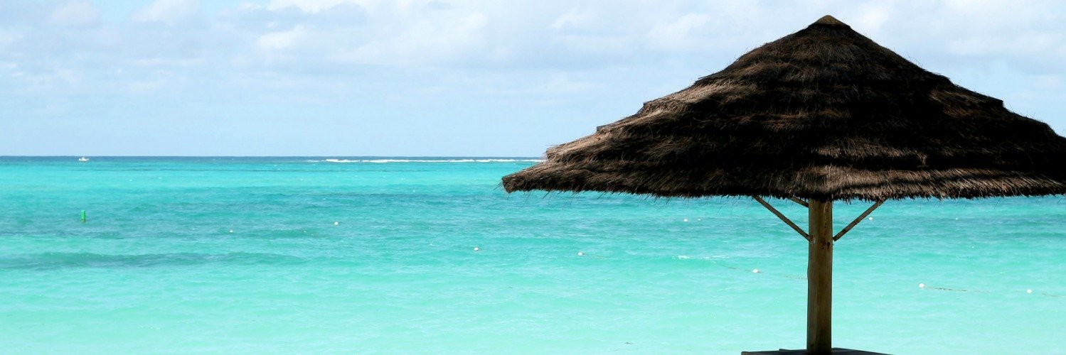 ATurtlesLife's profile banner image