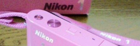 JaneyAnker's profile banner image