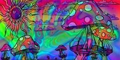 Gnoma__'s profile banner image