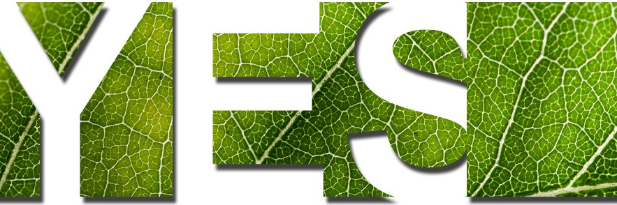 YesBilisim's profile banner image