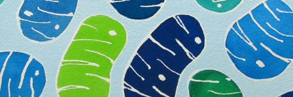 Auwerx_Lab Profile Banner