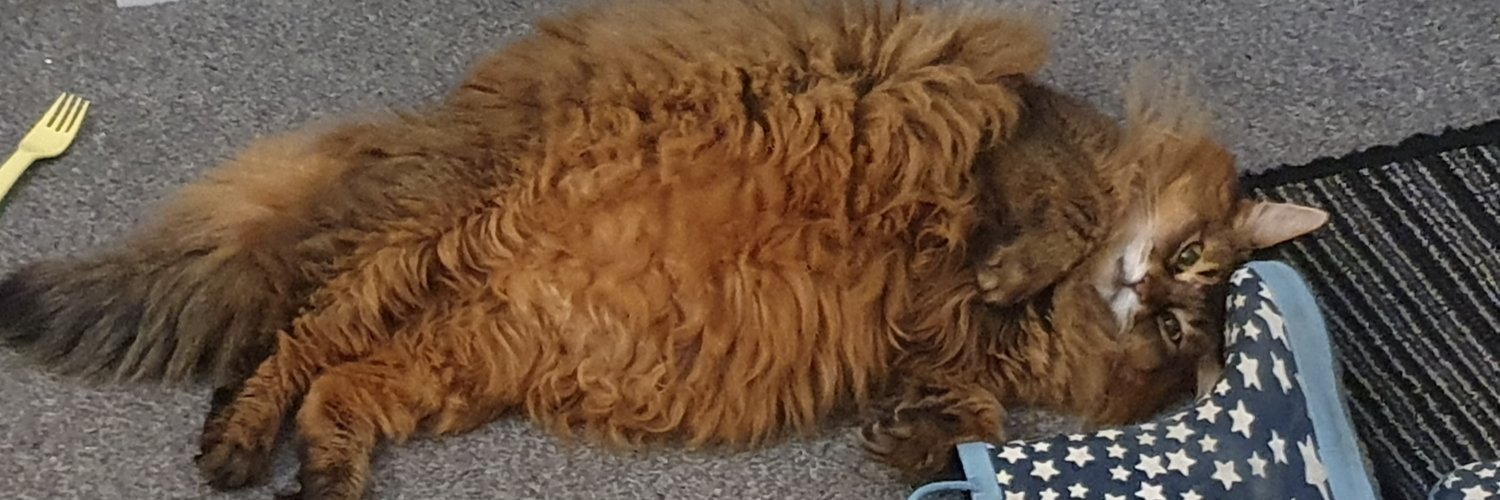 Steve Passmoor banner