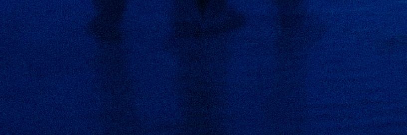 Vincent Eco banner