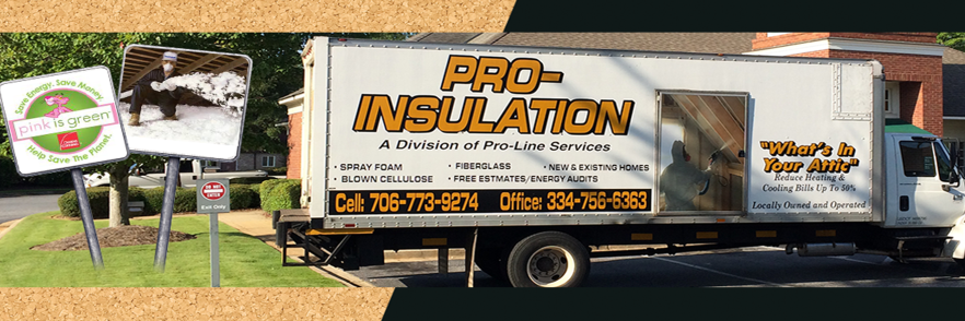 Prolnsulation's profile banner image
