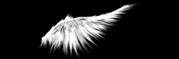 DistortedWings's profile banner image