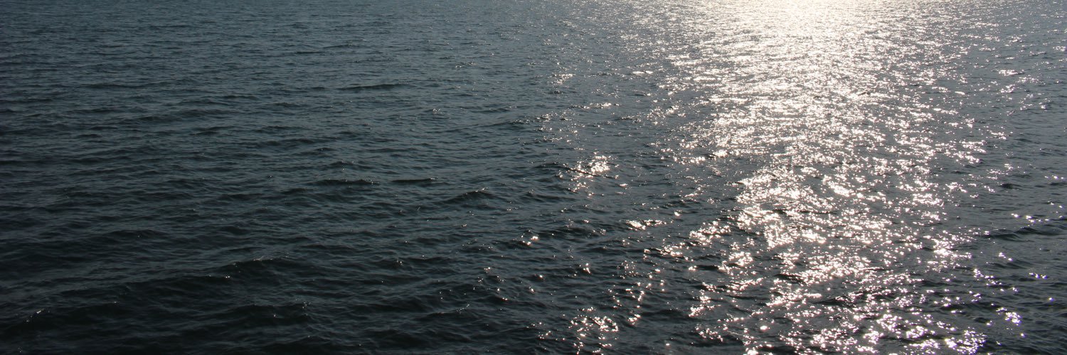 willsickbert44's profile banner image