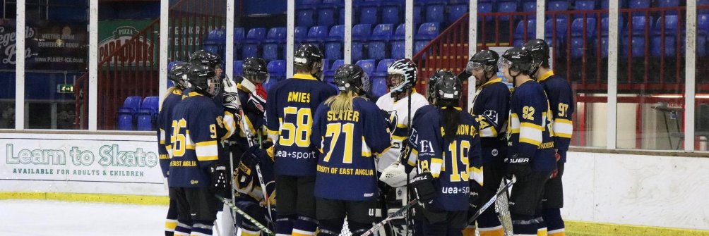 UEA Ice banner