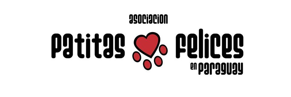 PyPatitas's profile banner image