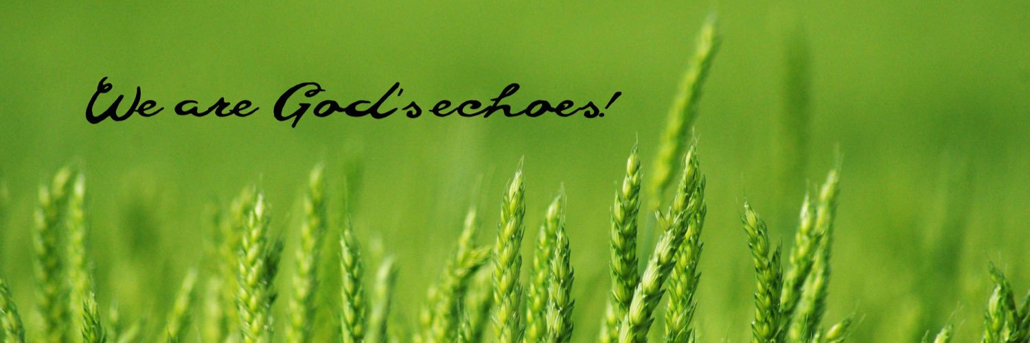 HisEchoes's profile banner image
